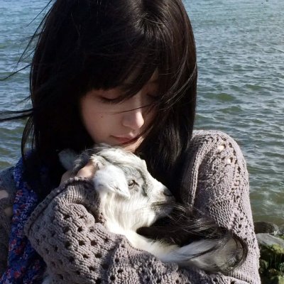 汤姆猫与杰利鼠：间谍使命